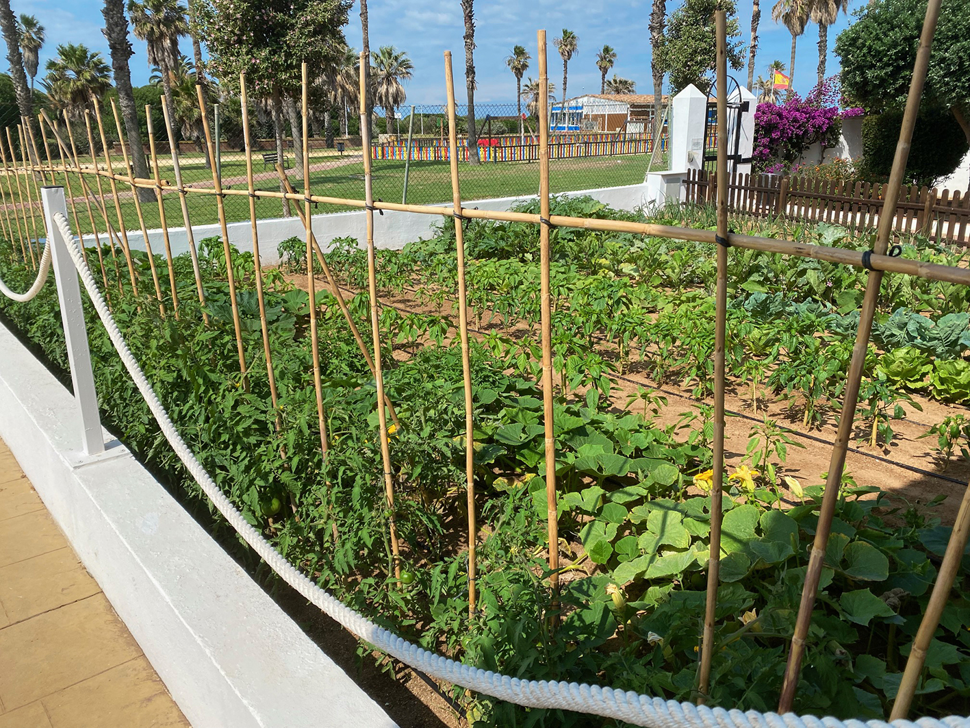 009_alta_playaballena Naos.jpg